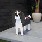 Macetero Cavalier King