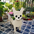Macetero Chihuahua