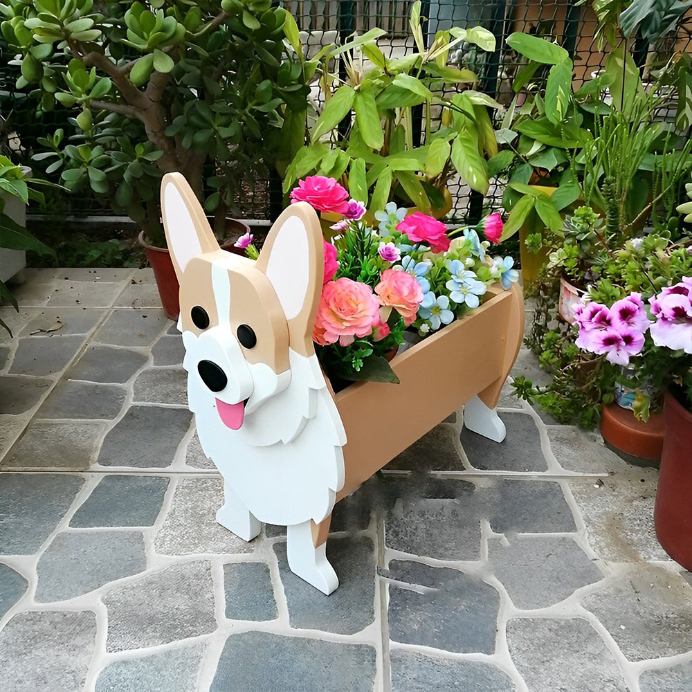 Macetero Corgi