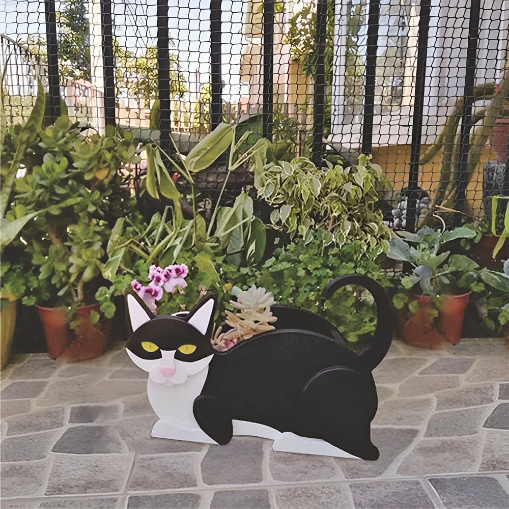 Macetero Gato Negro y Blanco