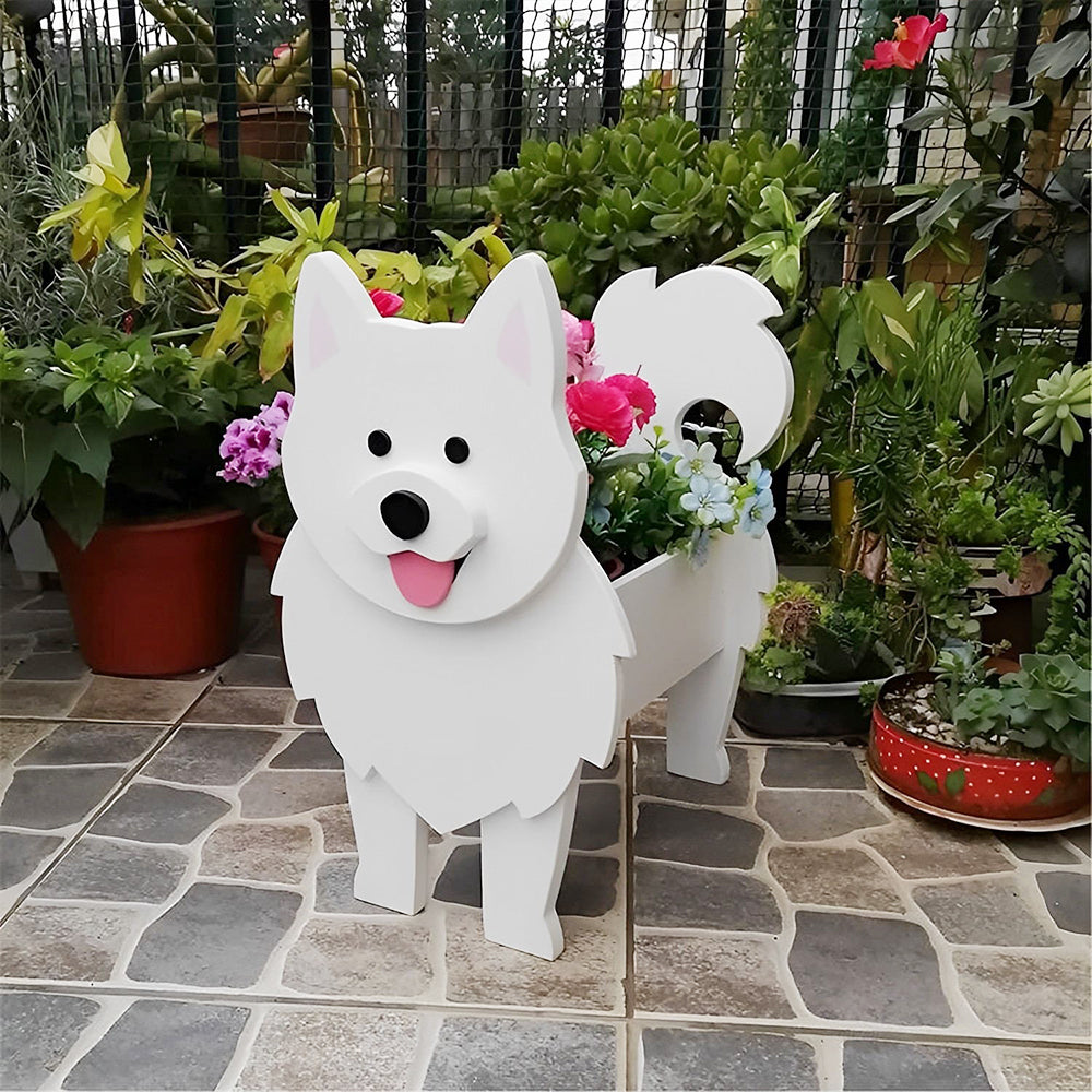 Macetero Samoyedo